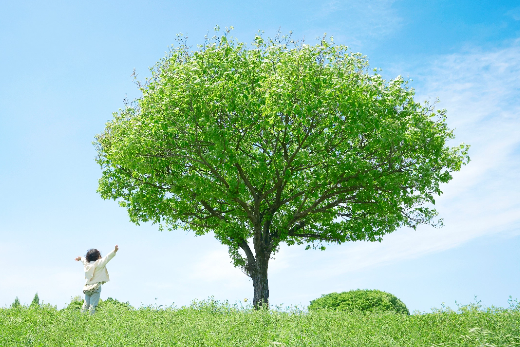 草原に大きな木と子ども