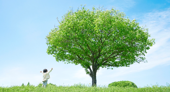 草原に大きな木と子ども