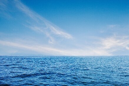 サステナビリティ