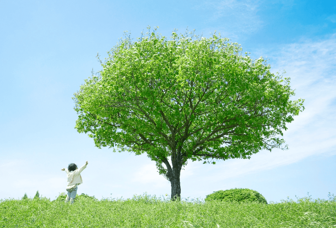 草原に大きな木と子ども